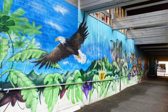 1,5 hour private guided Mural Street Art tour in Arnhem - Why street art works so well for seeing Arnhem