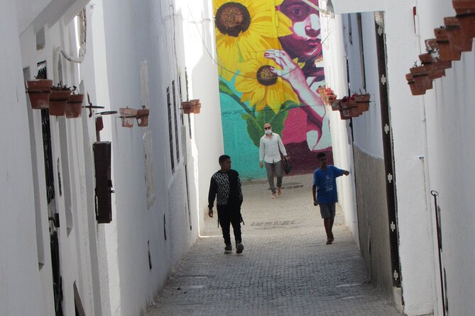 14-Day Private Morocco Street Art Tour - Days 1 to 3: Casablanca arrival and Marrakech murals