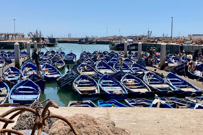 14-Day Private Morocco Street Art Tour - Transport, guides, and daily pace
