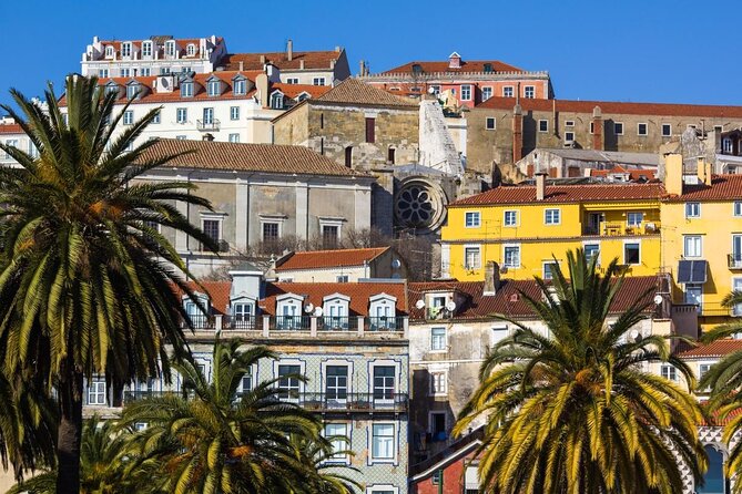 3-Hour Guided Street Art Walking Tour of Lisbon - Why Lisbon Works So Well for Street Art