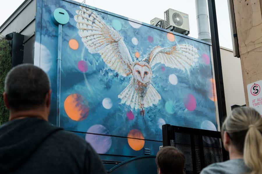 Adelaide: Paint and Palate Street Art Tour - Why Jimmy C gives this walk its focus