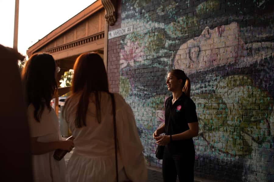 Adelaide: Paint and Palate Street Art Tour - Is $41 good value?