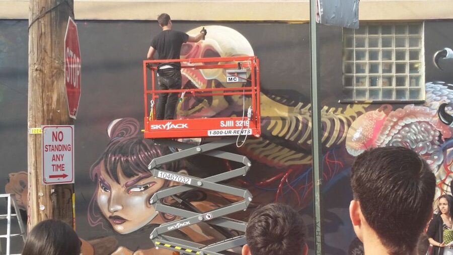 Brooklyn: Bushwick Street Art Walking Tour - The warehouse murals and the artists behind them