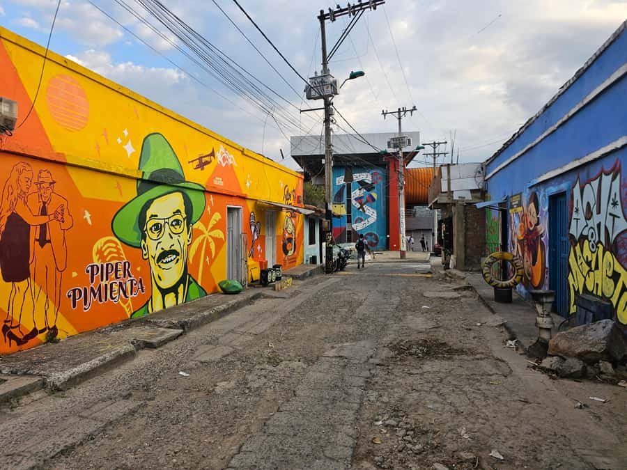 Cali: Comuna 20 Siloé Street Art Tour - Murals turn the route into an open-air gallery