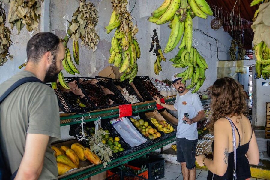 Cancun: 3-Hour Food Tour, Visit to the Market & Street Art - Quesadillas and salbutes show more range