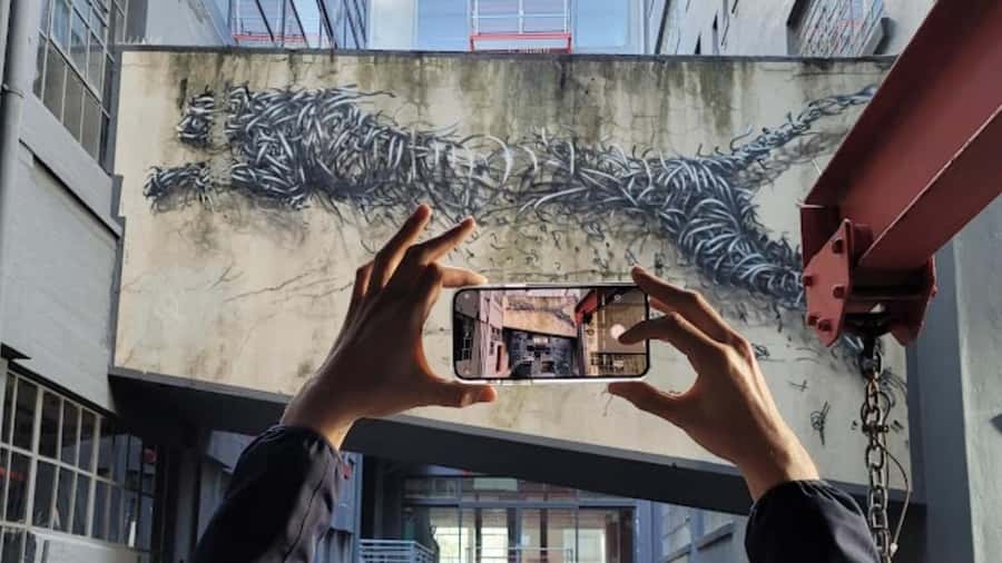 Cape Town: Inspiring sustainable change through Street Art - Walking through Woodstock’s public art