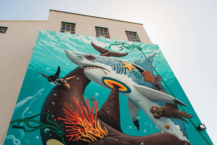 Cape Town: Street Art Walking Tour in Woodstock - Why Woodstock street art is worth your time
