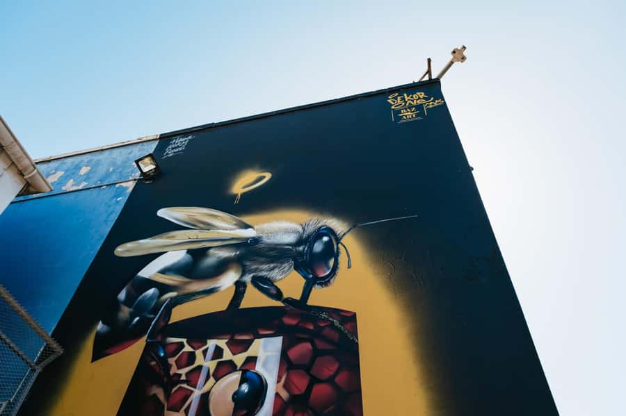 Cape Town: Street Art Walking Tour in Woodstock - Salt River Nature Park and the community connection