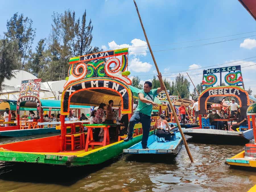 CDMX: Xochimilco, Coyoacan, Frida Kahlo Museum & Murals Tour - Key points worth knowing