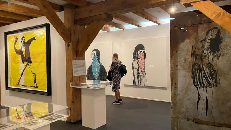 Copenhagen: MACA Museum: Banksy & Street Art Entry Ticket - What the MACA Museum experience is really about