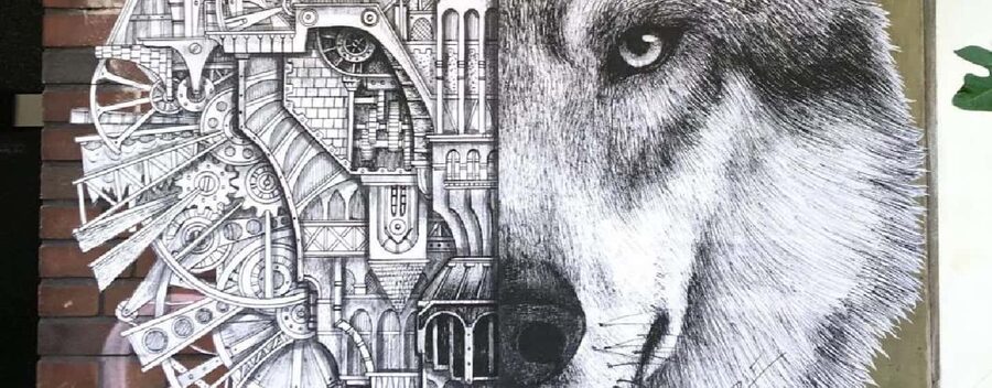 Dusseldorf: Urban Art Walk / Street Art Tour - Why Düsseldorf’s street art deserves two hours
