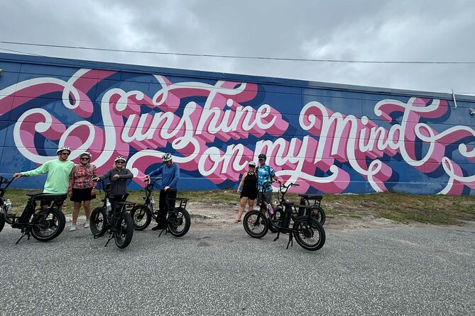 E-Bike Guided Tour Downtown St Pete: Sights & Murals - Starting at Flora Wylie Park and Coffee Pot Bayou