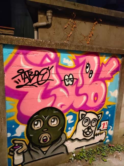 Graffiti in Tokyo Walking Tour: Shibuya and Harajuku - Is $38 a good value?