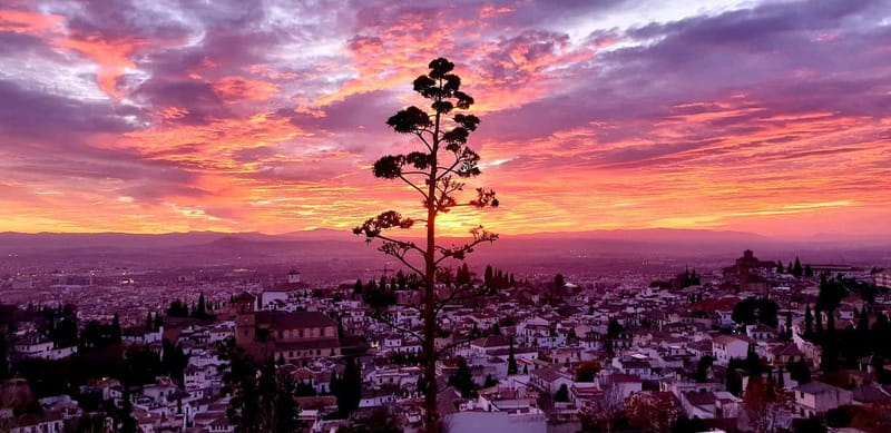 Granada: "Street Art & The Caves" Unique Guided Walking Tour - Returning to the Cathedral