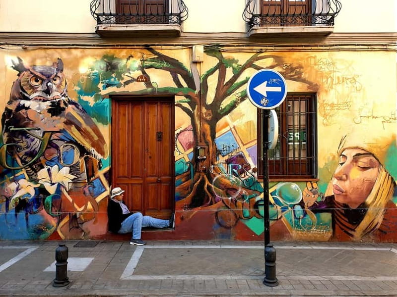 Granada: "Street Art & The Caves" Unique Guided Walking Tour - Starting at Plaza de las Pasiegas