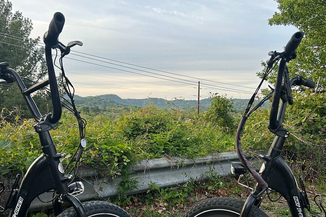 Guided Asheville E-bike Tour of River Arts, Mountains and Murals - French Broad River Park: an easy, shaded opening