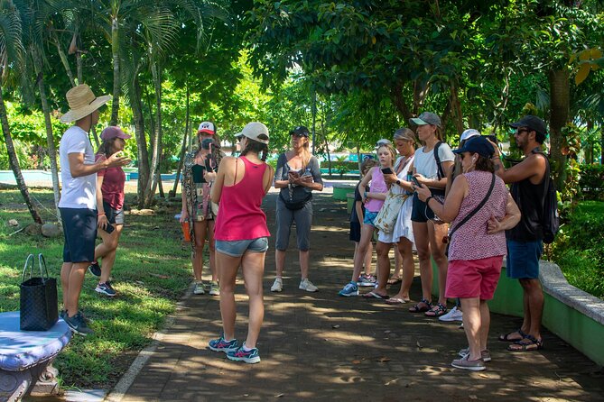 Guided Walking Street Art & Graffiti Tour in Jaco Costa Rica - Who will enjoy this tour most?