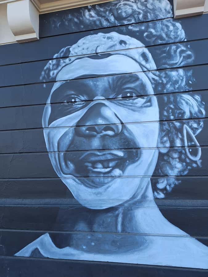 Hidden Adelaide: Laneways & Street Art Tour - Reading Adelaide’s Murals and Urban Canvases