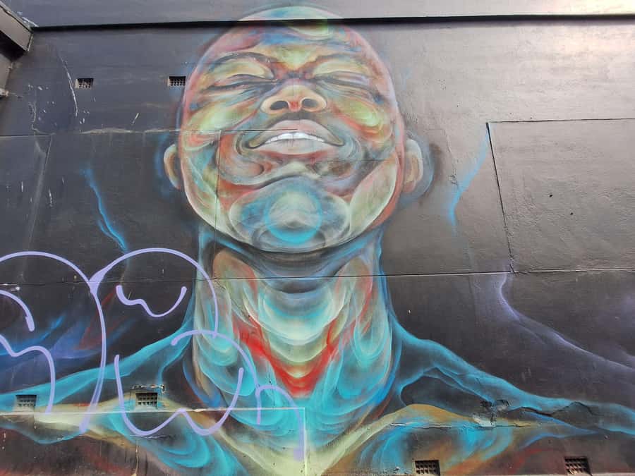 Hidden Adelaide: Laneways & Street Art Tour - Stories About Artists Make the Art More Memorable