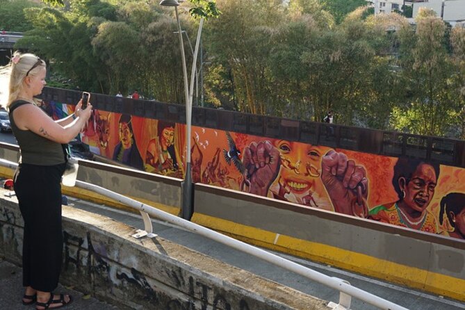 Historical Shared Tour Salsa, Graffiti & Resistance in Cali - Boulevard del Río adds food and city views