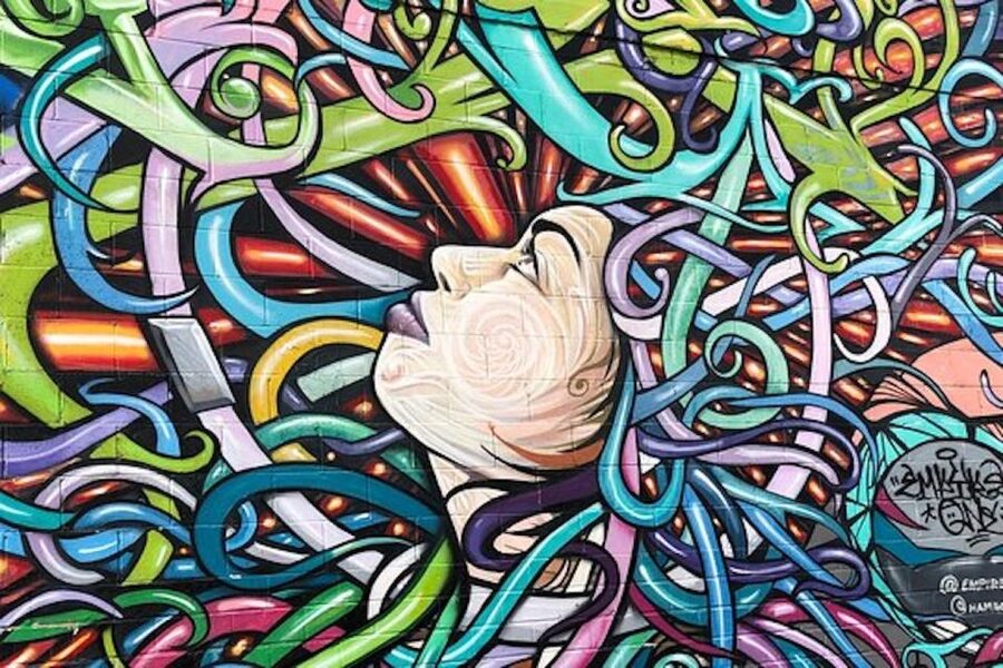 Houston: Mural Tour by Electric Cart - The first walls: learning how to read a mural