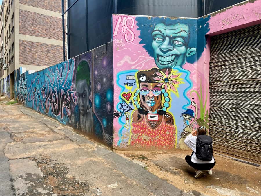 Johannesburg: Braamfontein Street Art & Culture Tour - Is $37 a fair price?