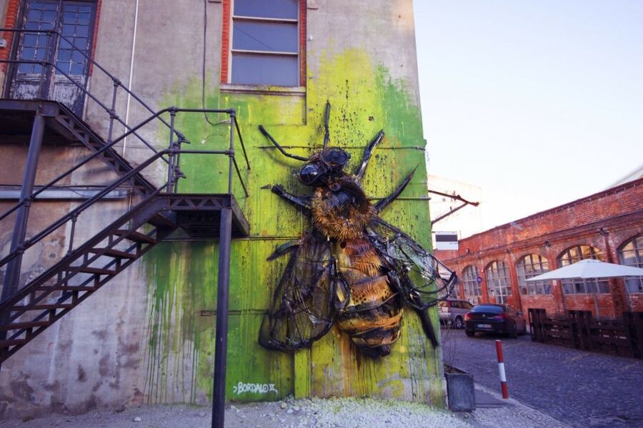 Lisbon: 3-Hour Street Art Tuk Tuk Tour - Guides make the difference