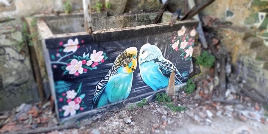 Lisbon: Private Tuk-Tuk Street Art Tour for 2,5 hours - What the Private Group Changes