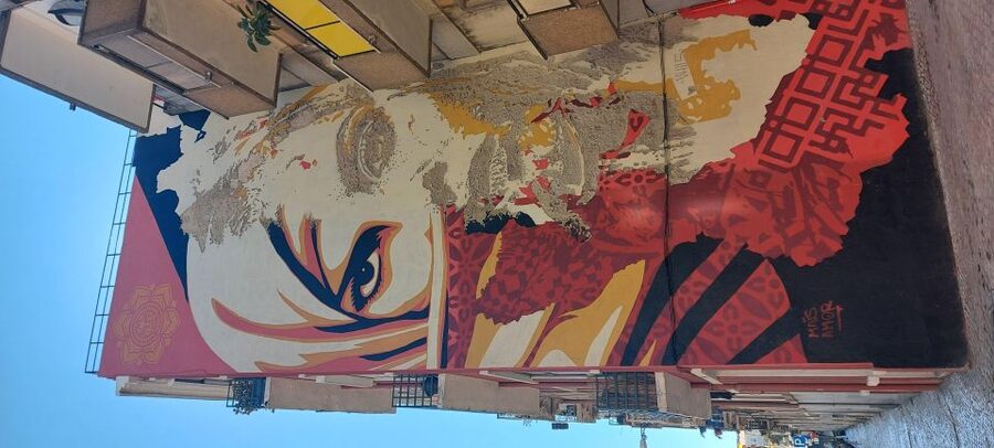 Lisbon Street Art Lovers Walk - Why Lisbon street art works best on foot