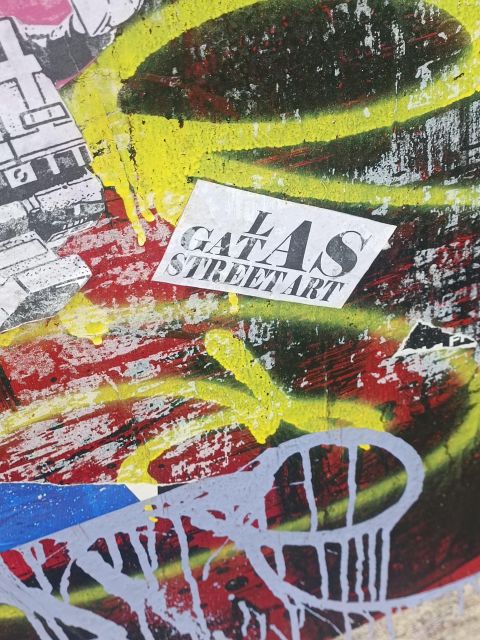 Lyon: Street Art in the Croix Rousse district - Why the guide makes the difference