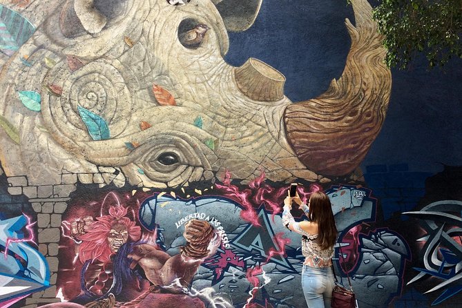 Mexico City Private Street Art Tour - Ten to twelve blocks of murals, graffiti, and city life