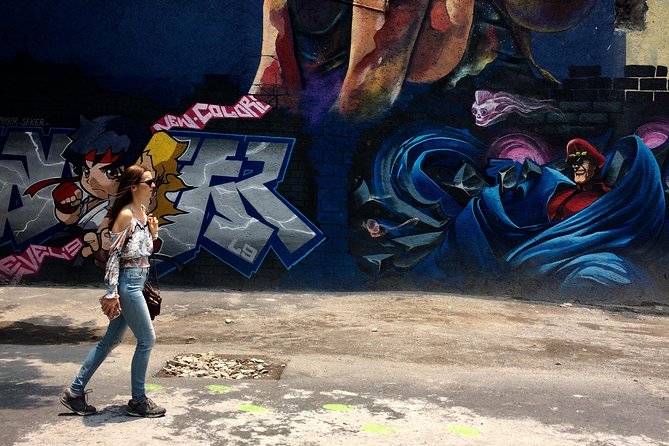 Mexico City Private Street Art Tour - Art with political, historical, and cultural meaning