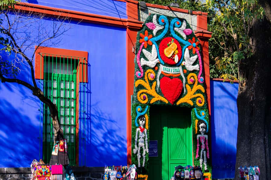 Mexico City: Xochimilco Coyoacan, Frida Kahlo & UNAM Murals - Riding a trajinera through Xochimilco