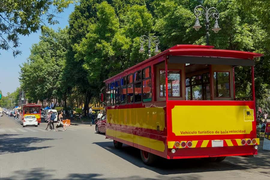 Mexico City: Xochimilco Coyoacan, Frida Kahlo & UNAM Murals - Guides, buses, and the pace of the day