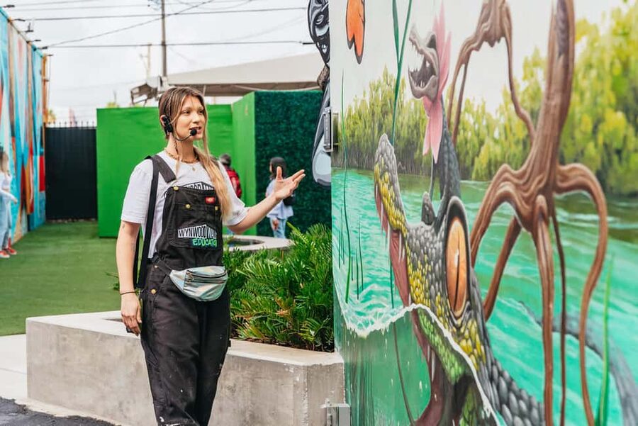 Miami: Wynwood Walls, Galleries, and Murals Guided Tour - The Peter Tunney Experience