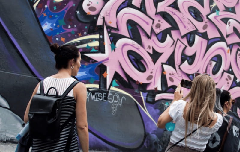 Montreal: Guided Walking Tour of Montreal's Murals - What the guide adds to the experience