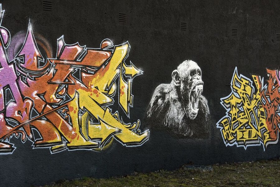 Munich: Street Art Bike Tour - Who should book this bike tour?