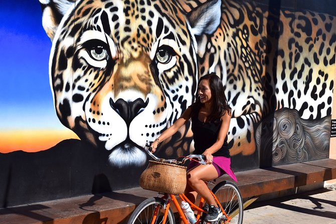 Mural Bike Tour - Starting at Tucson Bike Tours on Hoff Avenue