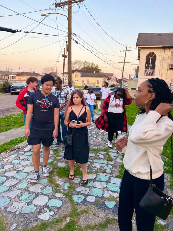New Orleans Culture Street Art & Mural Walk - Starting at Crazy Plant Bae