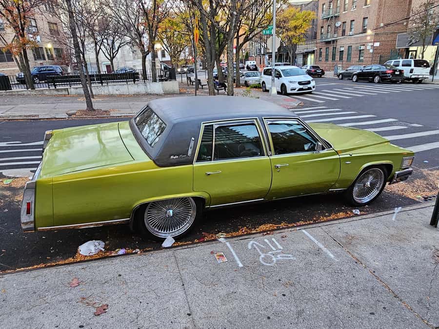 New York: Hip-Hop, Murals, Sports, and Dangerous Neighborhoods Tour - Why the guide matters so much