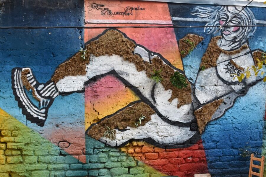 Paris: Belleville Street Art Tour with an Artist - Meeting an artist who can explain the walls