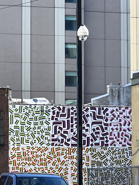 Philadelphia: Street Art Walking Tour with a Local Guide - Murals That Reward a Closer Look