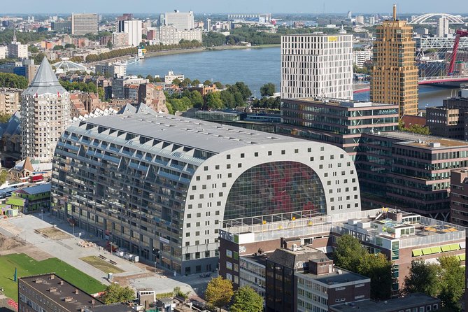 Private Highlights & Art Walking Tour: Markthal, Zadkine, Street Art and Depot - Timmerhuis and the OMA transformation
