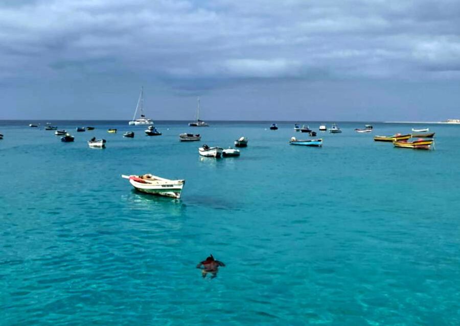 Sal island: Santa Maria city tour, street art and tapas - Key points to know before booking