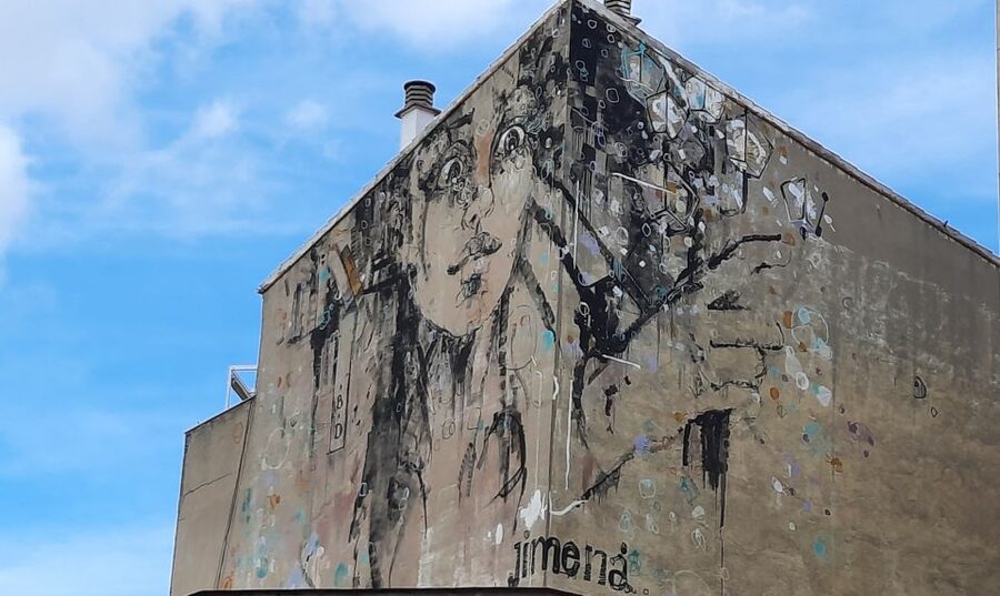 Salamanca: Private Guided Street Art Walking Tour - Why Salamanca’s street art deserves your time