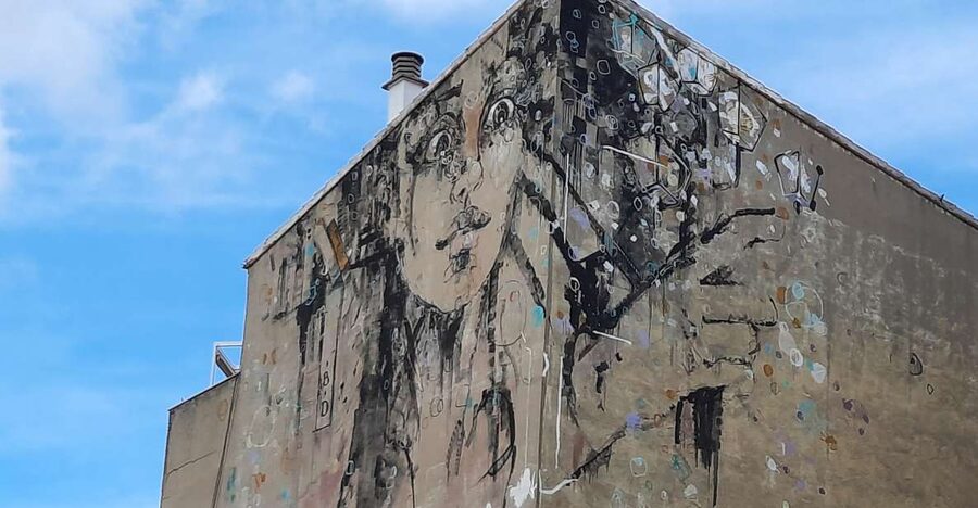 Salamanca: Private Guided Street Art Walking Tour - Finding murals in Barrio del Oeste