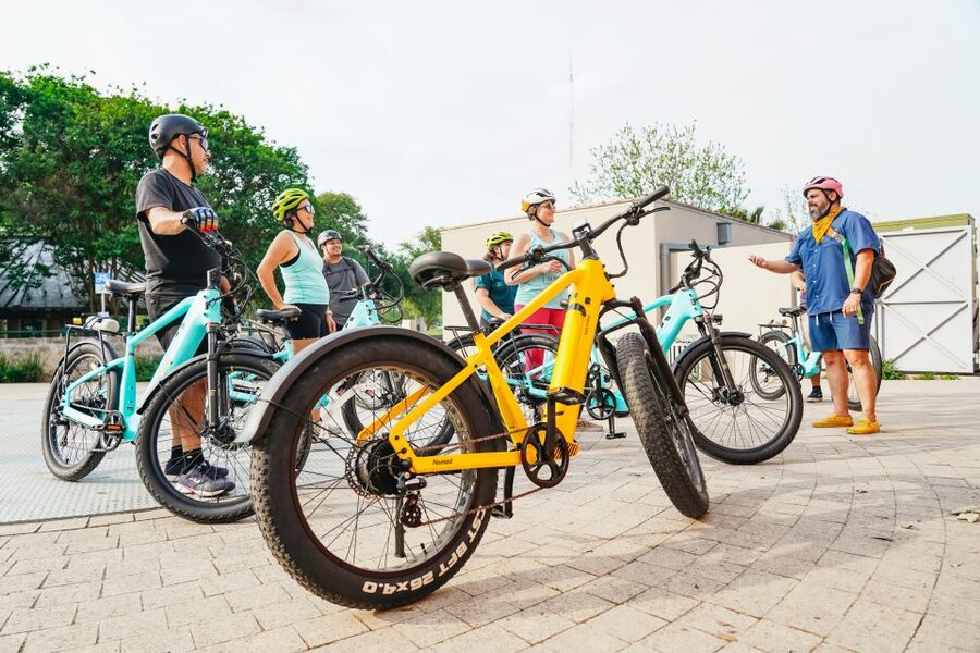 San Antonio: Murals & Hidden Gems E-Bike Tour - Southtown and the Blue Star Arts Complex