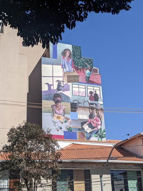 Sao Paulo, Pinheiros - Food & Graffiti Tour | in English - What the guide adds to the experience