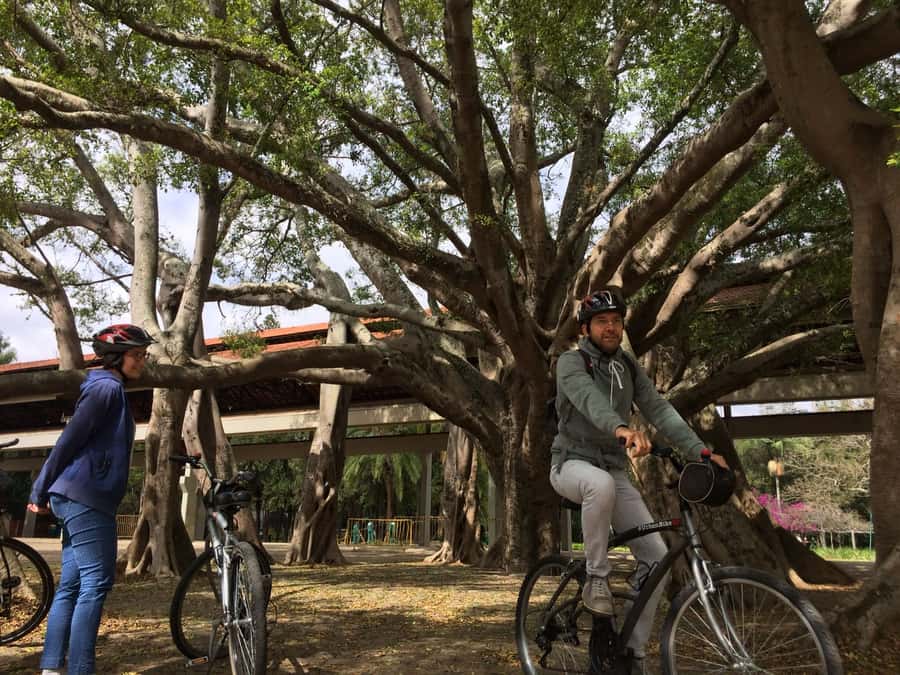 São Paulo: Street Art Bike Tour - Ibirapuera Park and São Paulo’s cultural side