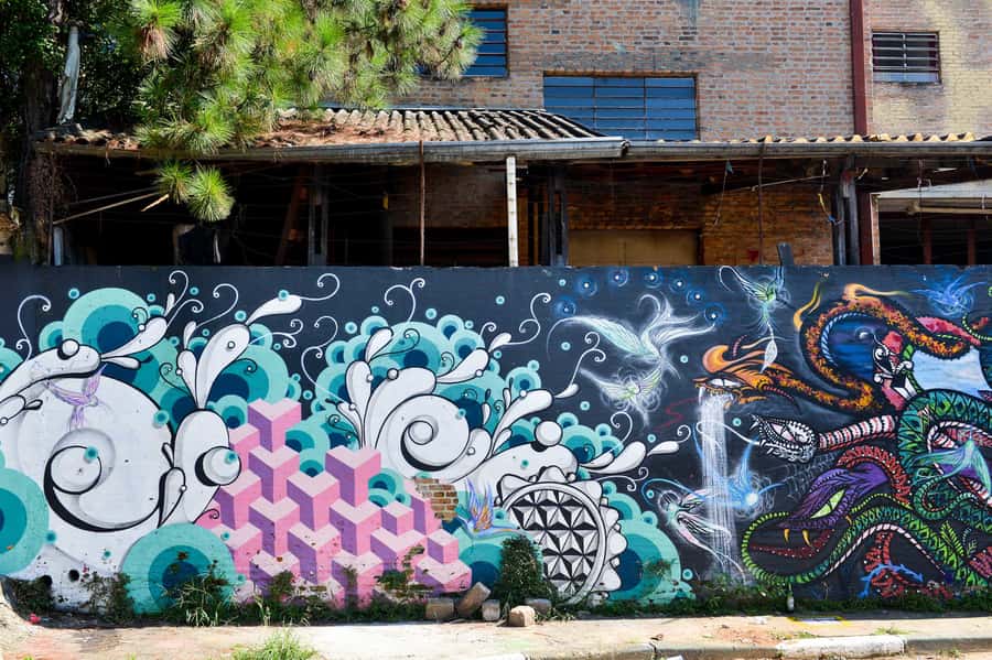 São Paulo Street Art Tour - Practical comfort and access